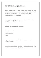 WCU PHYS 261 Week 3 Quiz 2026 &ndash; Chapters 8&comma; 9 & 10 Study Guide & Practice Questions