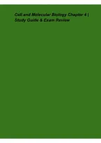 Cell and Molecular Biology Chapter 4 Study Guide and Exam Review 2026 Update