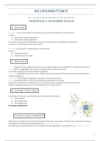 Neurowetenschappen &vert; Neuroanatomie &vert; UA &vert; 2026&sol;27
