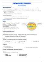 Samenvatting Relationele Vaardigheden &vert; eerstejaar&vert; SEM 1
