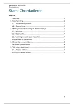 Toegepaste dierkunde &vert; Chordadieren &vert; Hogeschool Gent &vert; 2025&sol;26