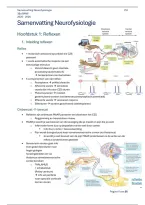 Samenvatting Neurofysiologie &vert;  UA &vert; 2025&sol;2026