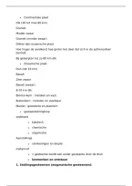 Aardrijkskunde Samenvatting &vert; Gesteenten & Aardkorst &vert; VWO &vert; 2026&sol;27