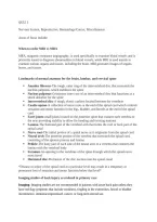 NSG  550 EXAMS  review&period;