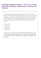 Pathology &lpar;Robbins&rpar; Chapter 3 - Part 2 of 2&comma; Tissue &NewLine;Renewal and Repair&colon; Regeneration&comma; Healing&comma; and &NewLine;Fibrosis
