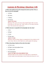 Anatomy & Physiology Questions 1&ndash;40 PDF &ndash; Practice Questions with Answers & Detailed Rationales &vert; Instant Download