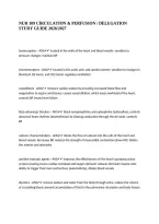 NUR 109 CIRCULATION & PERFUSION &sol; DELEGATION STUDY GUIDE 2026&sol;2027