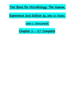 Microbiology The Human Experience 1st Edition Test Bank by John W&period; Foster