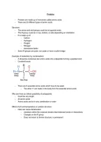Study Notes Proteins &vert; IB Biology &vert; 2026&sol;2027