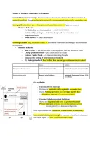 Lecture Notes Sustainable Entrepreneurship &vert; Tilburg University &vert; 2025&sol;26