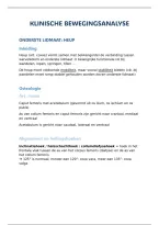 Klinische Bewegingsanalyse &vert; Onderste Lidmaat &vert; Universiteit Antwerpen &vert; 2025&sol;26