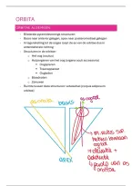 Orbita & Orofaciaal Systeem &vert; Tandheelkunde &vert; UGent &vert; 2026&sol;27