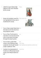 PORTAGE LEARNING ANATOMY & PHYSIOLOGY 2 MODULE 5 EXAM &vert; LYMPHATIC SYSTEM STUDY GUIDE