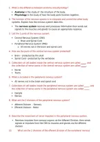 PORTAGE AP2 MOD 1 QUESTIONS &vert; A&P 2 MODULE 1 EXAM REVIEW & STUDY GUIDE