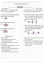 document-image