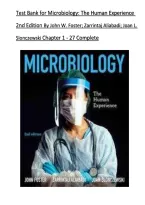 Test Bank for Microbiology&colon; The Human Experience  2nd Edition By john w foster zarrintaj&lowbar;Aliabadi&semi;Joan L&period; Slonczewski Chapter 1-27 Complete&period;