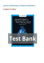 Anatomy and Physiology &lpar;1st Edition&rpar; &vert; Test Bank with Questions and Answers