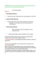 &lpar;NRMS 5190&rpar; Advanced Patho Study Guide&colon; Neuro&sol;Psych Disorders for Final Exam - Downstate Medical Center LATEST update with complete solutions 
