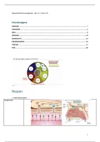 Sensorische Transductie &vert; Celfysiologie &vert; KU Leuven &vert; 2024&sol;25  &vert; punt 17&sol;20