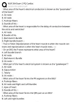 NUR 304 Exam 2 PQ Cardiac 2026 &vert; Nursing Cardiac Exam Prep & Study Guide
