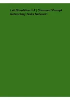 Lab Simulation 1-1 &ndash; Command Prompt Networking Tasks &vert; Network&plus;
