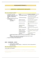 Neurokinesitherapie 1 &vert; Neurologische Revalidatie &vert; UA &vert; 2026&sol;27
