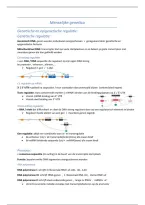 Samenvatting - Menselijke Genetica&vert; 3e Ba Biomedische wetenschappen &vert; Universiteit Antwerpen