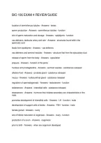 Latest Preview Thumbnail