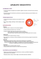 ANATOMIA HUMANA