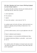 ENA Peds 2 Questions And Correct Answers With Deep Explanations Latest Already Graded A&plus;&period;pdf