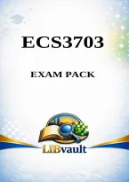 ECS3703 Exam Pack 2026