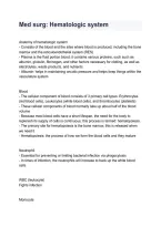 Med Surg &ndash; The Hematologic System Study Guide & Nursing Review