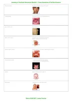 Anatomy of Orofacial Structures Module 4 &vert; Exam Questions&comma; Verified Answers & Complete Dental Anatomy Review &vert; 2026&ndash;2027 &vert; Grade A&plus;