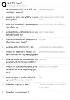 Nur 239 Exam 5 Questions And Answers &vert; Nur 239 Study Guide & Practice Test 2026&sol;2027