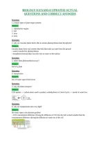 Document preview thumbnail