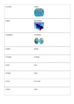 National Spanish Exam Level 3 2026 &vert; Spanish Study Guide&comma; Practice Questions & Exam Review