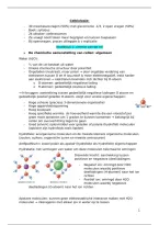 Celbiologie Samenvatting &vert; KU Leuven &vert; 2025&sol;26