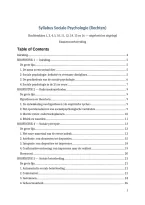 Vlotte Samenvatting Sociale Psychologie - Rechten - UGent - 2025&sol;26