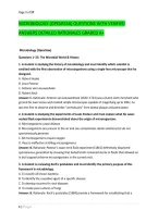 Microbiology &lpar;Openstax&rpar; Questions With Verified &NewLine;Answers Detailed Rationales Graded A&plus;