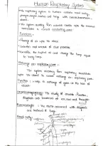 Human Respiratory System - Complete NEET Notes with Diagrams & PYQs - 45 Pages