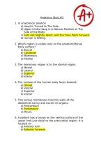 Anatomy Quiz 1