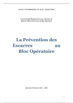 TIP IBODE &ndash; Pr&eacute;vention des escarres au bloc op&eacute;ratoire