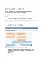 Insolventierecht &lpar;Geslaagd eerste zit&rpar;