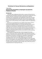 BCHM 2700&colon; Recitation &num;6&colon; Enzyme Mechanisms and Regulation - Complete updated Solution 100&percnt;&period;