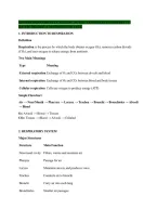 Respiration Complete Nursing Notes &vert; Exam-Ready Summary &vert; A&plus; &NewLine;Rated &vert; 2026&sol;2027 &vert; University&sol;College 