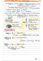 GCSE AQA Triple Science revision notes bundle