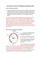 BCHM 2700 Week 12 Recitation 8 Nucleic Acid Methods and Bioinformatics &vert; Questions and answers - Latest 2026&period;
