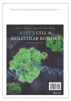 Test Bank for Karp&rsquo;s Cell and Molecular Biology &lpar;9th Edition&rpar; &ndash; Gerald Karp & Janet Iwasa &ndash; Chapters 1&ndash;18 Complete Exam Material
