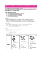 Architecturale context&comma; hoofdstuk 2&comma; samenvatting