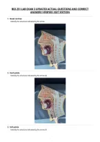 Bio 251 Lab Exam 3 Updated Actual Questions And Correct&NewLine;Answers Verified 2027 Edition